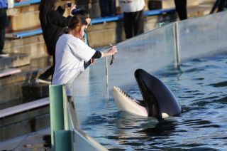 スペシャル水族館探検プラン