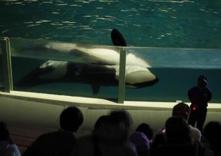 スペシャル水族館探検プラン2