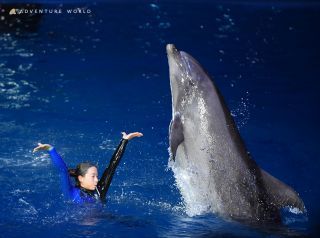 イルカ・クジラとトレーナーのパフォーマンス