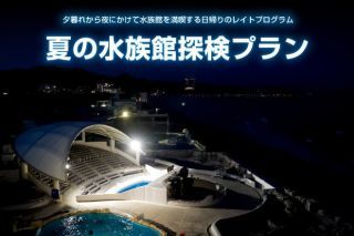 夏の水族館探検プラン