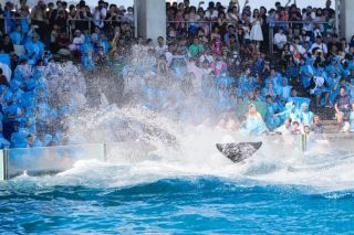 夏の水族館探検プラン2