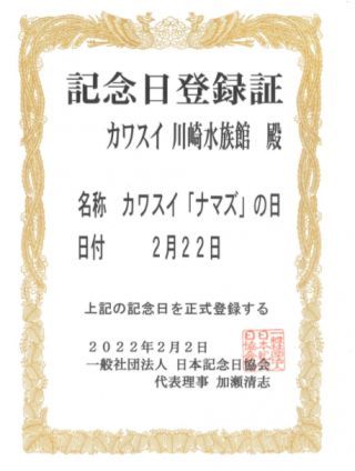 ナマズ vs ネコ 選挙2025　2