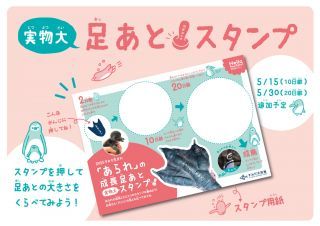 ペンギン足あとスタンプ