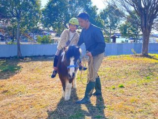 ポニー乗馬体験
