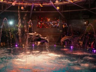 水面も彩るプロジェクションマッピングがナイトver.の見どころです
