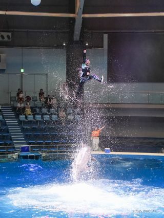 人間も驚異のジャンプ力を見せます