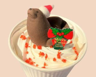 ぷかぷかオットセイのクリスマスココア
