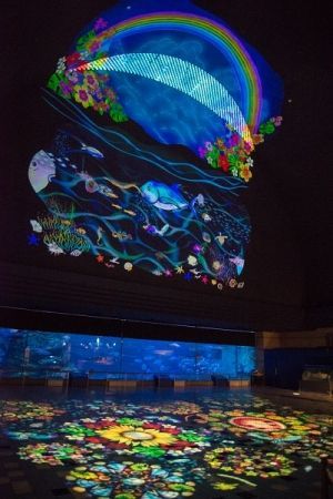 スマスイナイトアクアリウム Irodori Art 開催 神戸市立須磨海浜水族園 動物園 水族館特集