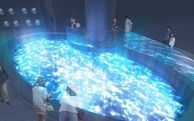 すみだ水族館 年4月下旬に開業後初の大規模リニューアル 長径7メートルのクラゲの水盤を含む2つの新エリア誕生 動物園 水族館特集