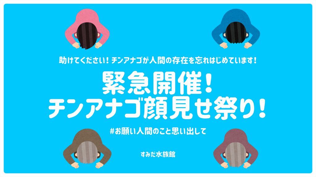 人間の存在を忘れてしまったチンアナゴを助けよう チンアナゴ顔見せ祭り 緊急開催 すみだ水族館 動物園 水族館特集