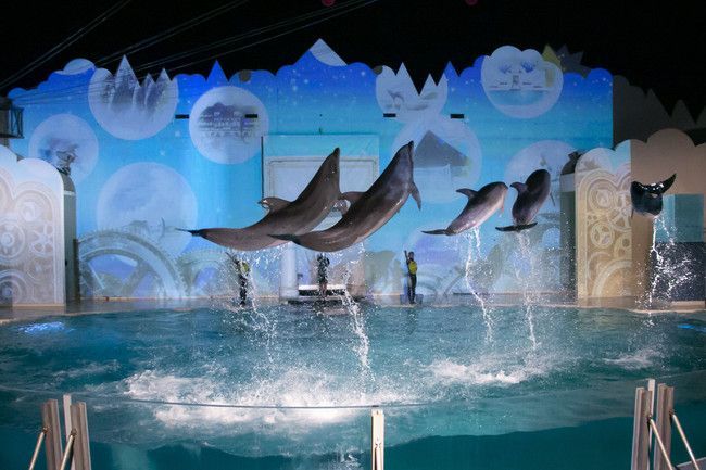 神戸市立須磨海浜水族園 年9月の4連休は時まで延長営業 動物園 水族館特集