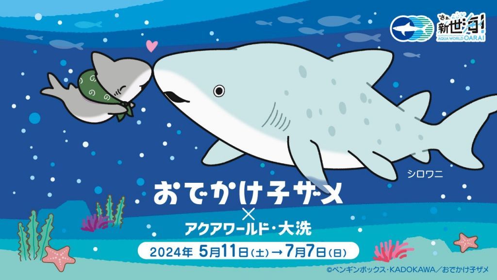 YouTubeで人気の「子ザメちゃん」とアクアワールドがコラボ