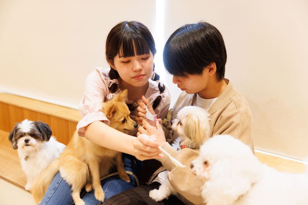 夏休みはリニューアルしたカワスイへ！ふれあい Dog park