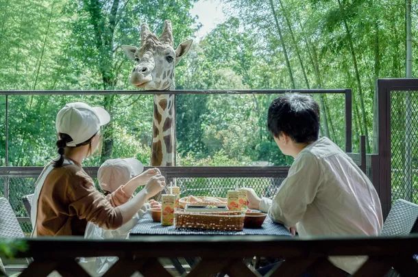 多数のメディアで紹介。キリンと朝食オプション