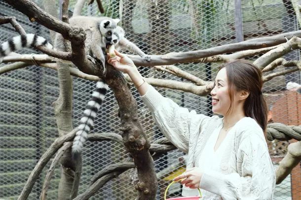 多数のメディアで紹介。キリンと朝食オプション2