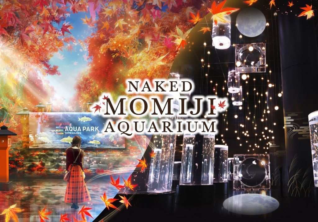 ＮＡＫＥＤ ＭＯＭＩＪＩ ＡＱＵＡＲＩＵＭ