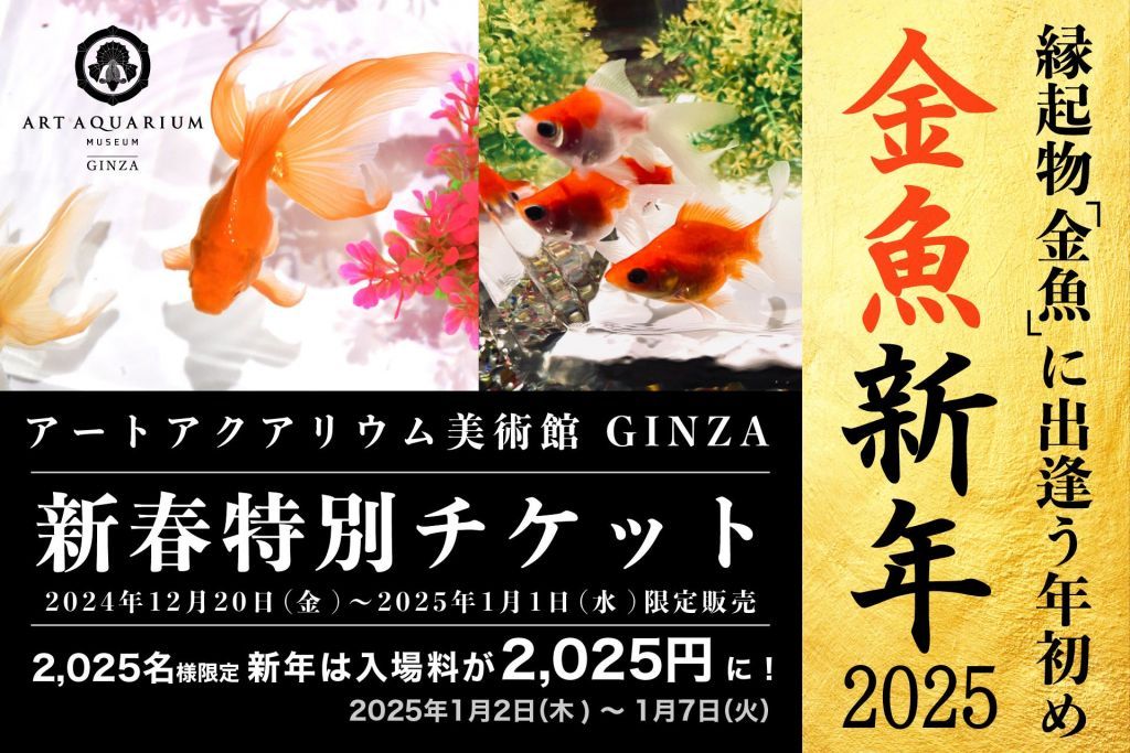 金魚新年