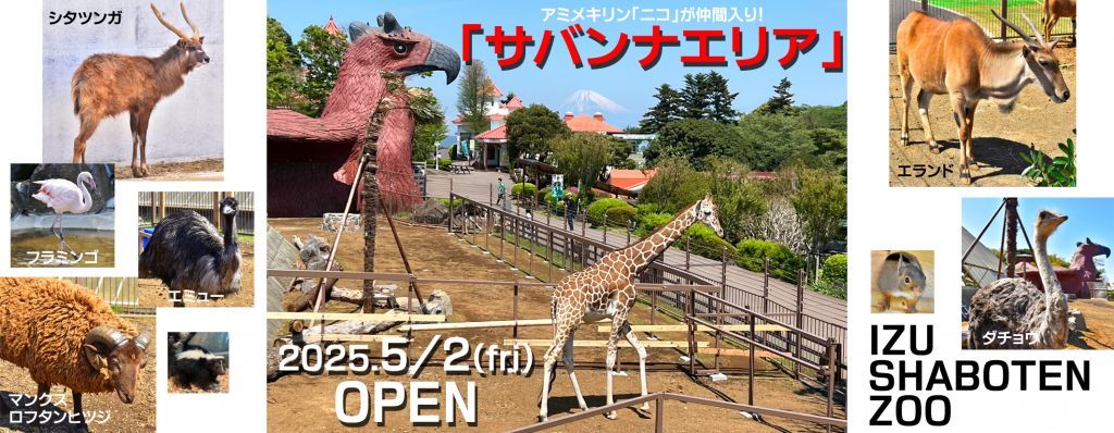 伊豆シャボテン動物公園に、新エリア 「サバンナエリア」