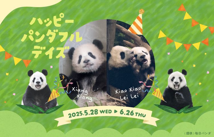 ハッピーパンダフルデイズ