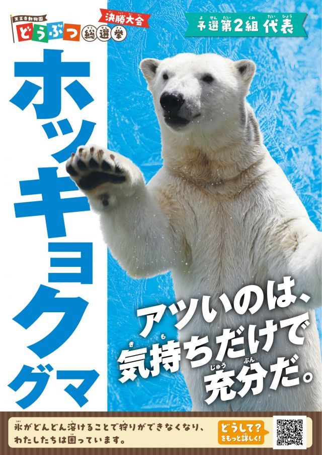 どうぶつ総選挙　ホッキョクグマ『アツいのは、気持ちだけで充分だ。』