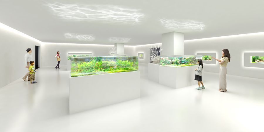 広島もとまち水族館4