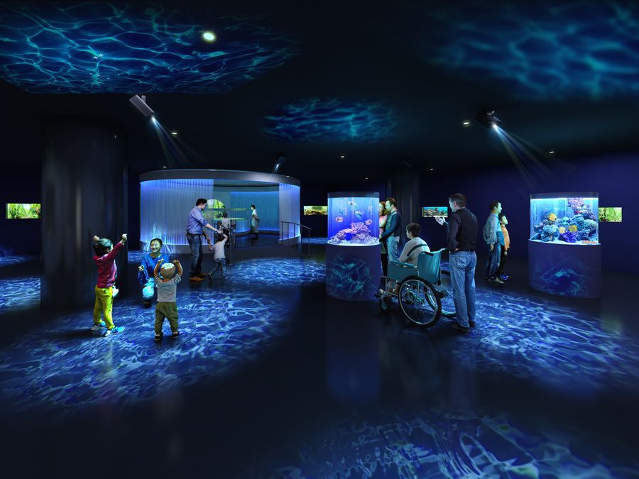 広島もとまち水族館5