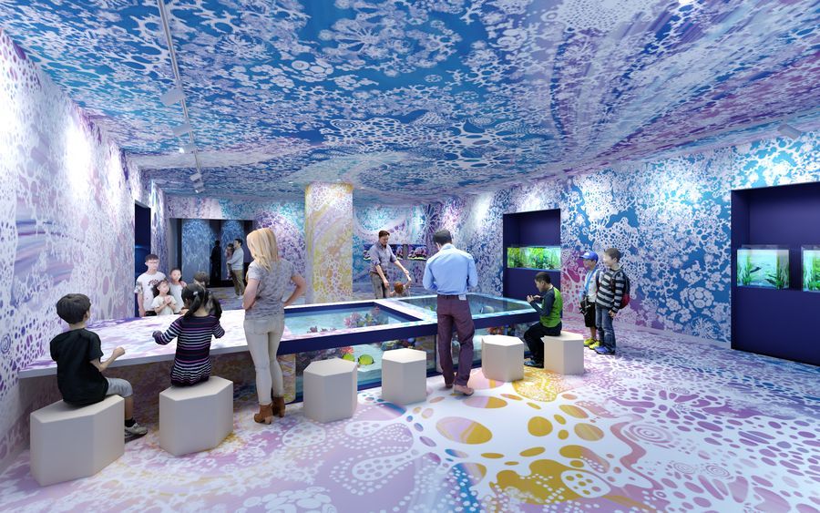 広島もとまち水族館6
