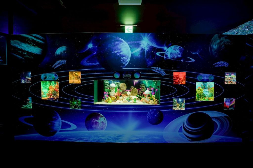 宇宙アクアリウムツアーズ