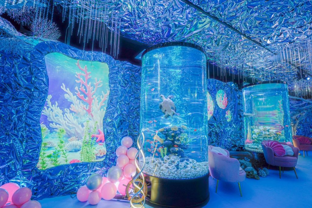 スペースマーメイド