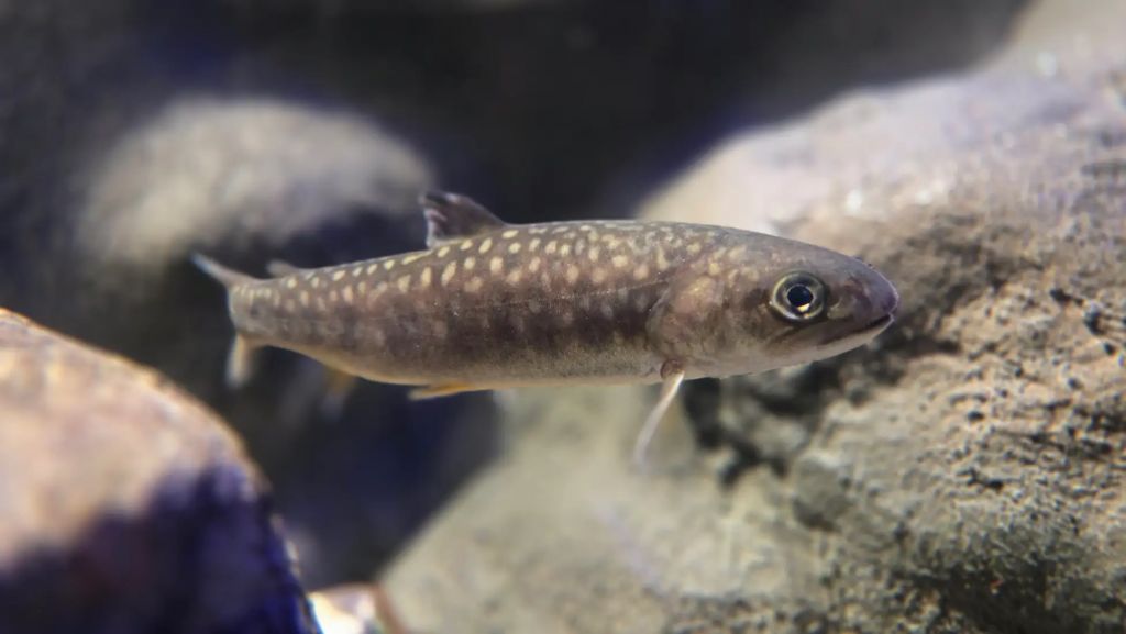 シン・マリホ水族館2