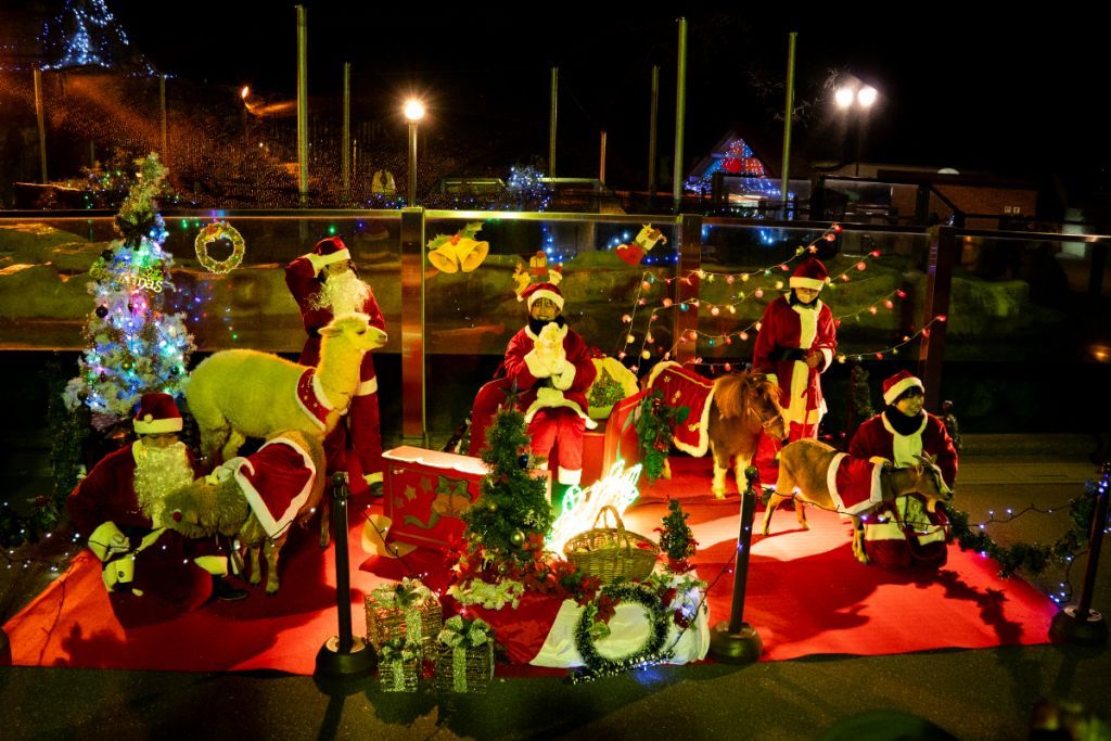 クリスマスフォト