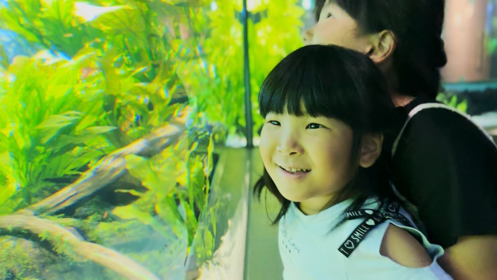 小さなお子さまも楽しめるカワスイ