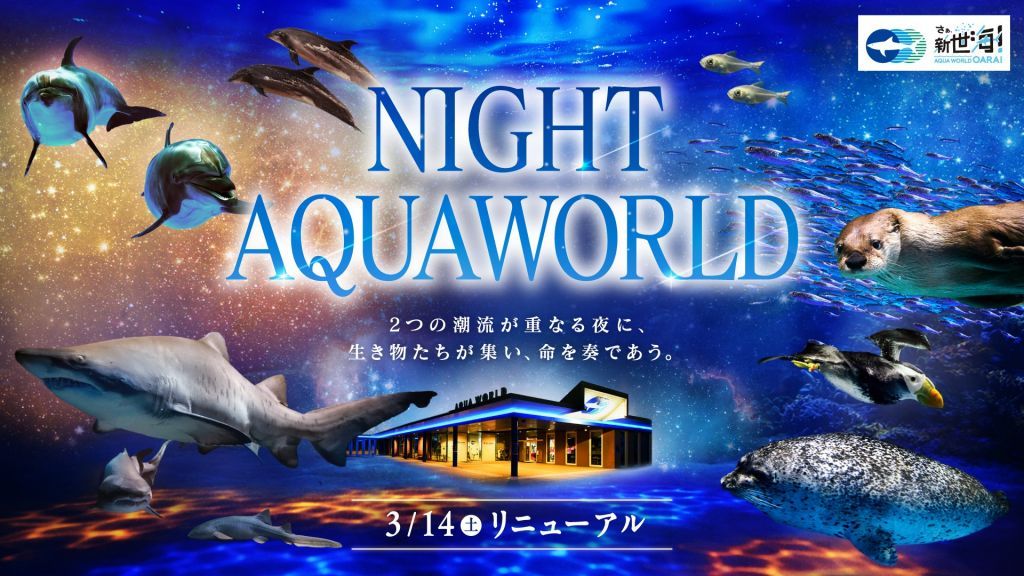 「NIGHT AQUAWORLD」