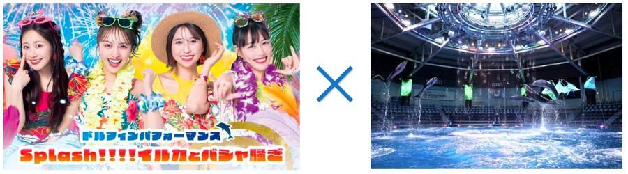 豪快なスプラッシュで気分爽快！熱量あふれるスペシャルドルフィンパフォーマンス「Splash!!!! イルカとバシャ騒ぎ」