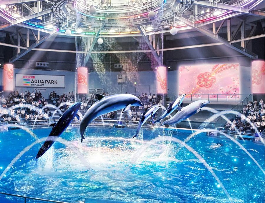 デイVer.「結-YUI-」