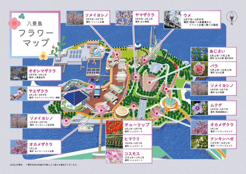 『はなパラ』フラワースポット