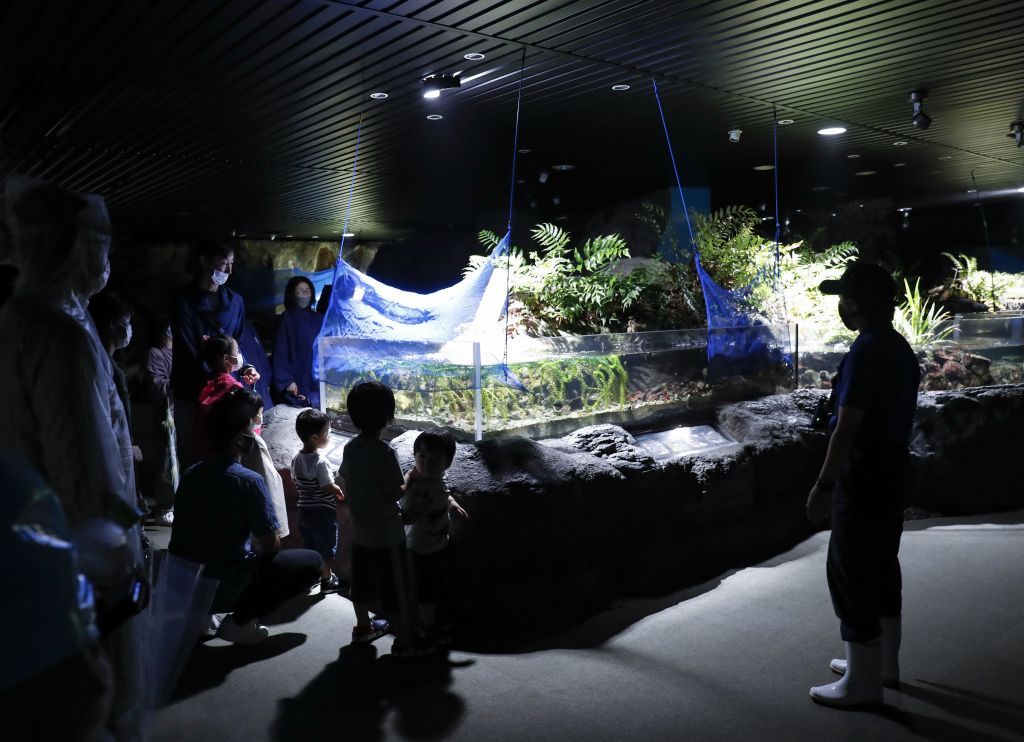 鴨川シーワールド