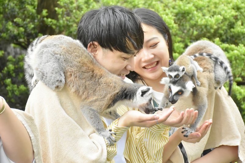 伊豆シャボテン動物公園「アニマルボートツアーズ」