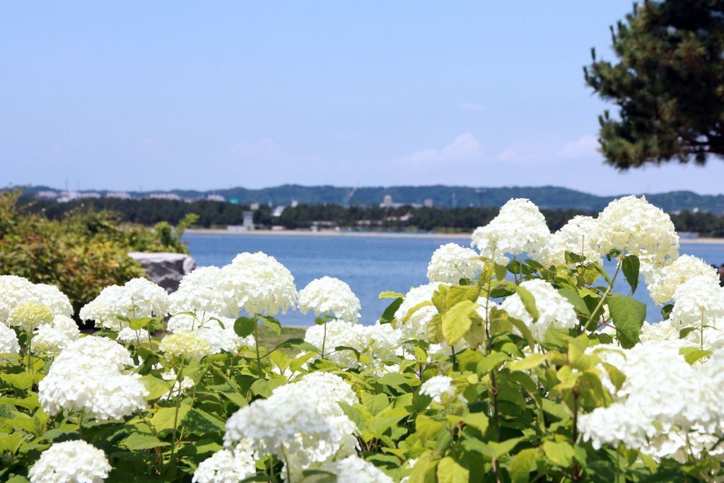 横浜・八景島シーパラダイス