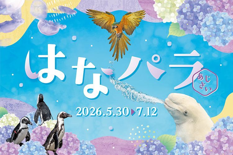 水族館内でもさまざまなイベントを開催