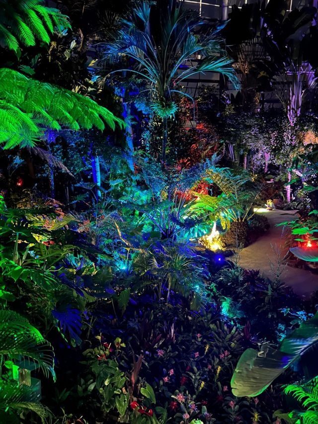 植物園_ナイトZOO