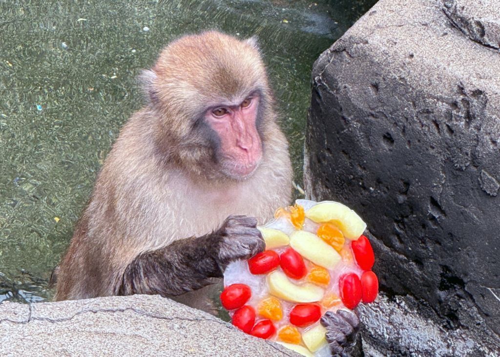 ひんやりおやつ
