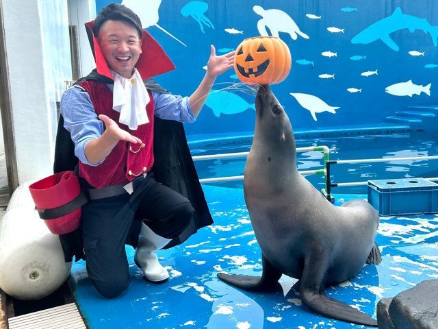 STUDIUM LIVE ハロウィンVer.