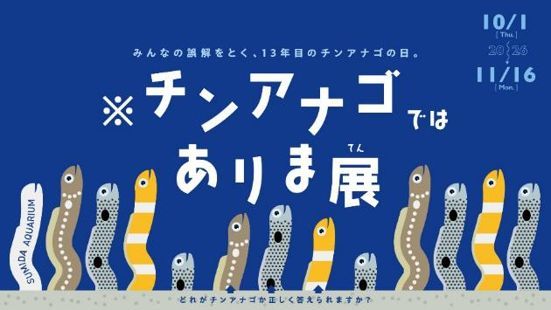 チンアナゴではありま展