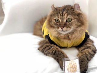 「写真提供：ドギーエンタープライズ様」さんからの投稿写真＠アニモ　ゆめかわアニマルパーク