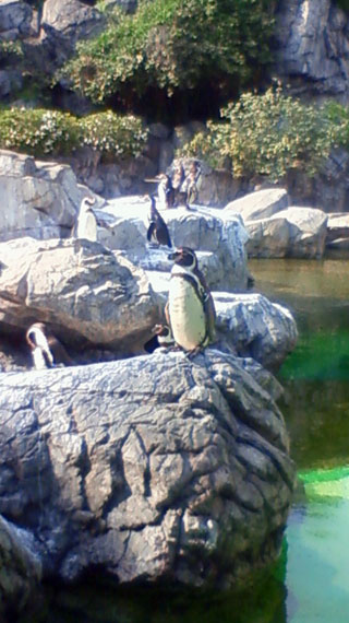 「れいな」さんからの投稿写真＠よこはま動物園ズーラシア