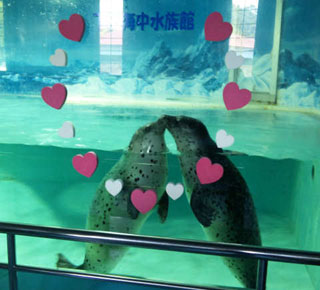 「みどり」さんからの投稿写真＠下田海中水族館