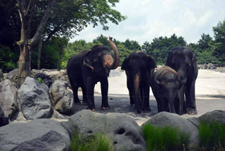 「写ガ―ル」さんからの投稿写真＠サファリパーク