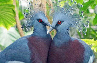 「バル」さんからの投稿写真＠場所不明