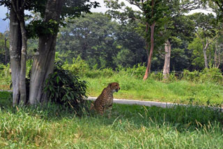 「写ガ～ル」さんからの投稿写真＠サファリパーク